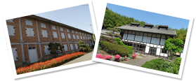 世界文化遺産「富岡製糸場と絹産業遺産群」